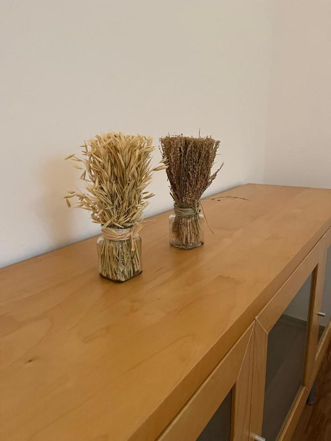 Ferienwohnung Schennach オプシュタイク エクステリア 写真